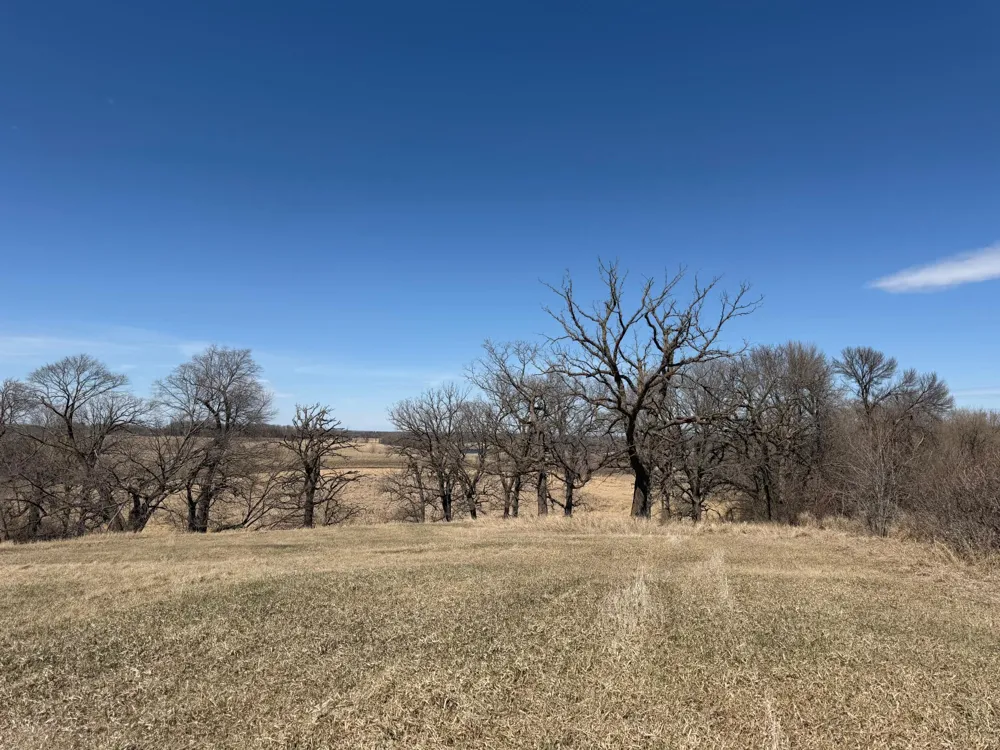 TBD 255th Street Fergus Falls, MN 56537