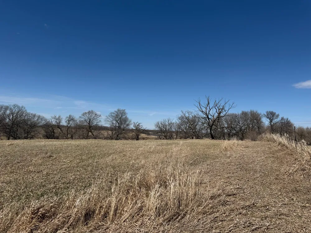 TBD 255th Street Fergus Falls, MN 56537