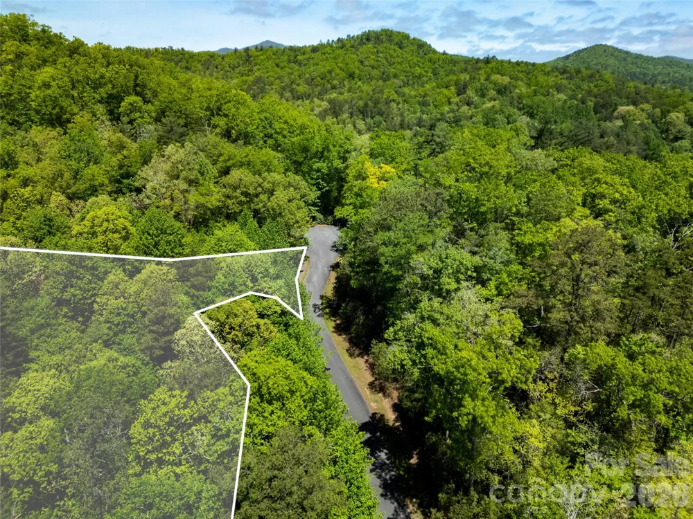 TBD Springhouse Trail #L15 Brevard, NC 28712