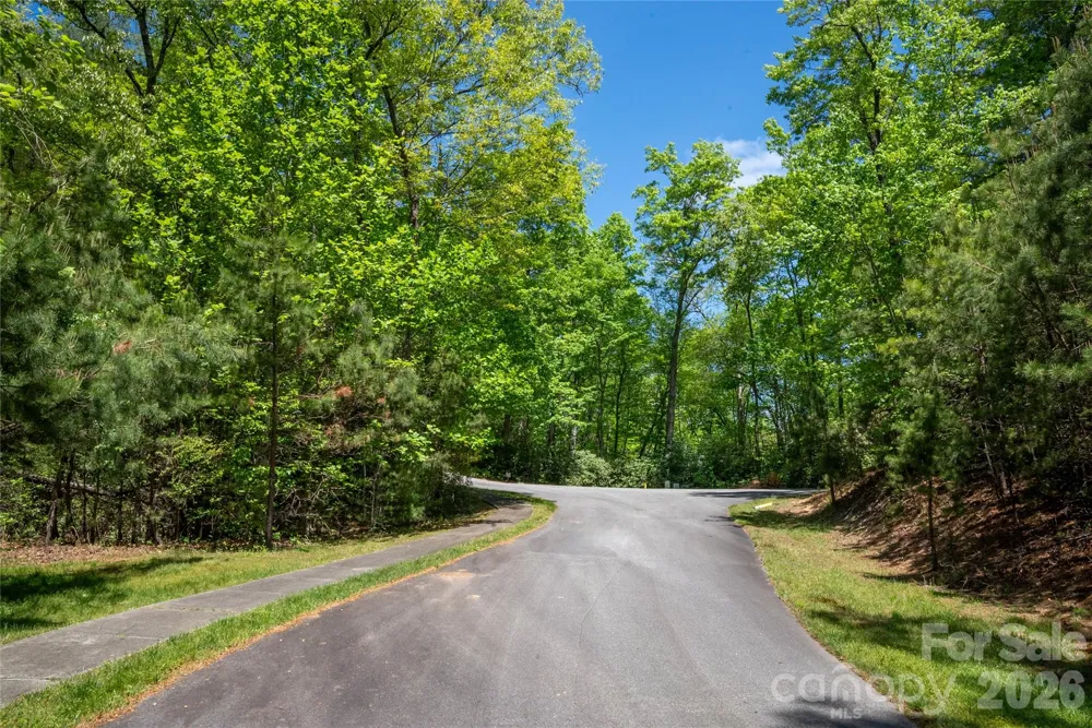 TBD Springhouse Trail #L15 Brevard, NC 28712