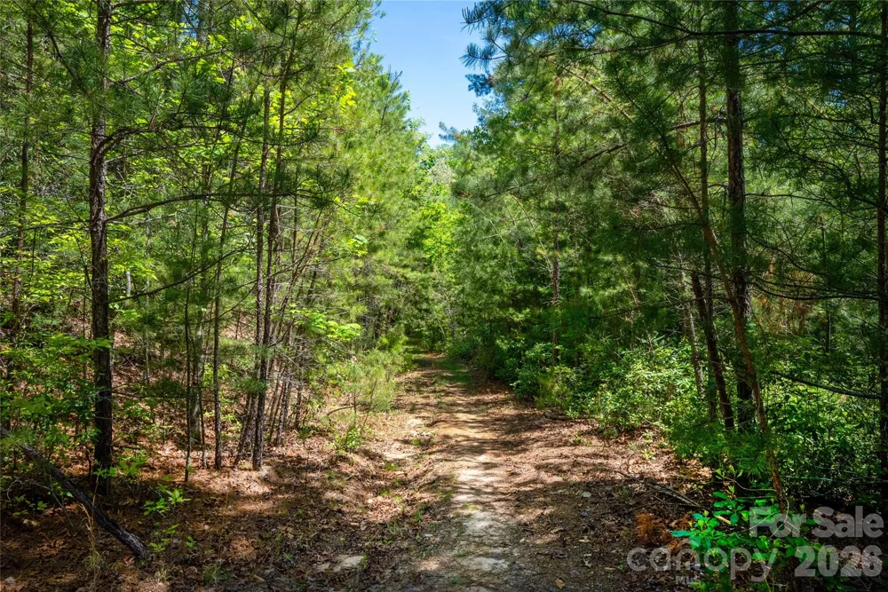 TBD Springhouse Trail #L15 Brevard, NC 28712