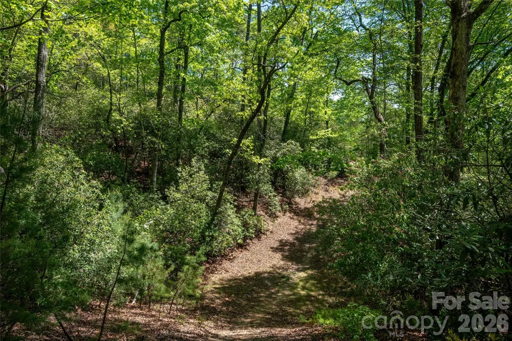 TBD Springhouse Trail #L15 Brevard, NC 28712