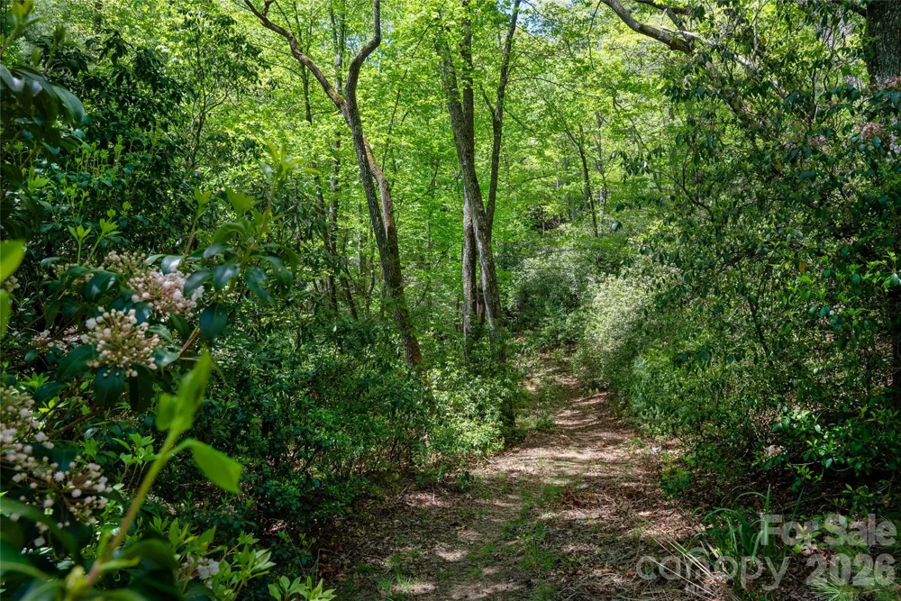 TBD Springhouse Trail #L15 Brevard, NC 28712