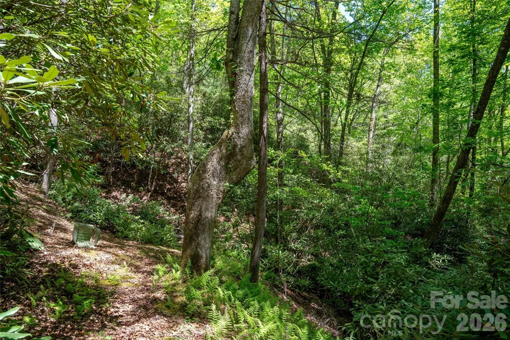 TBD Springhouse Trail #L15 Brevard, NC 28712