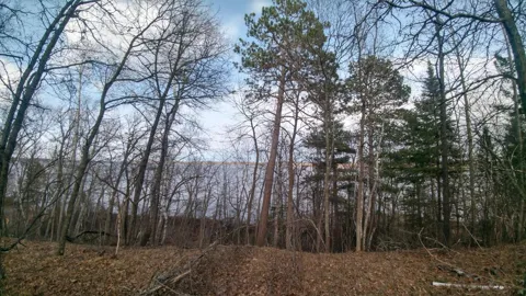 50126 County 29