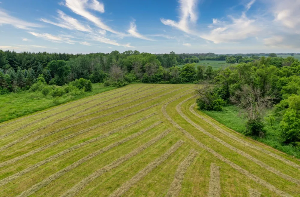 5696 170th Street Hugo, MN 55038