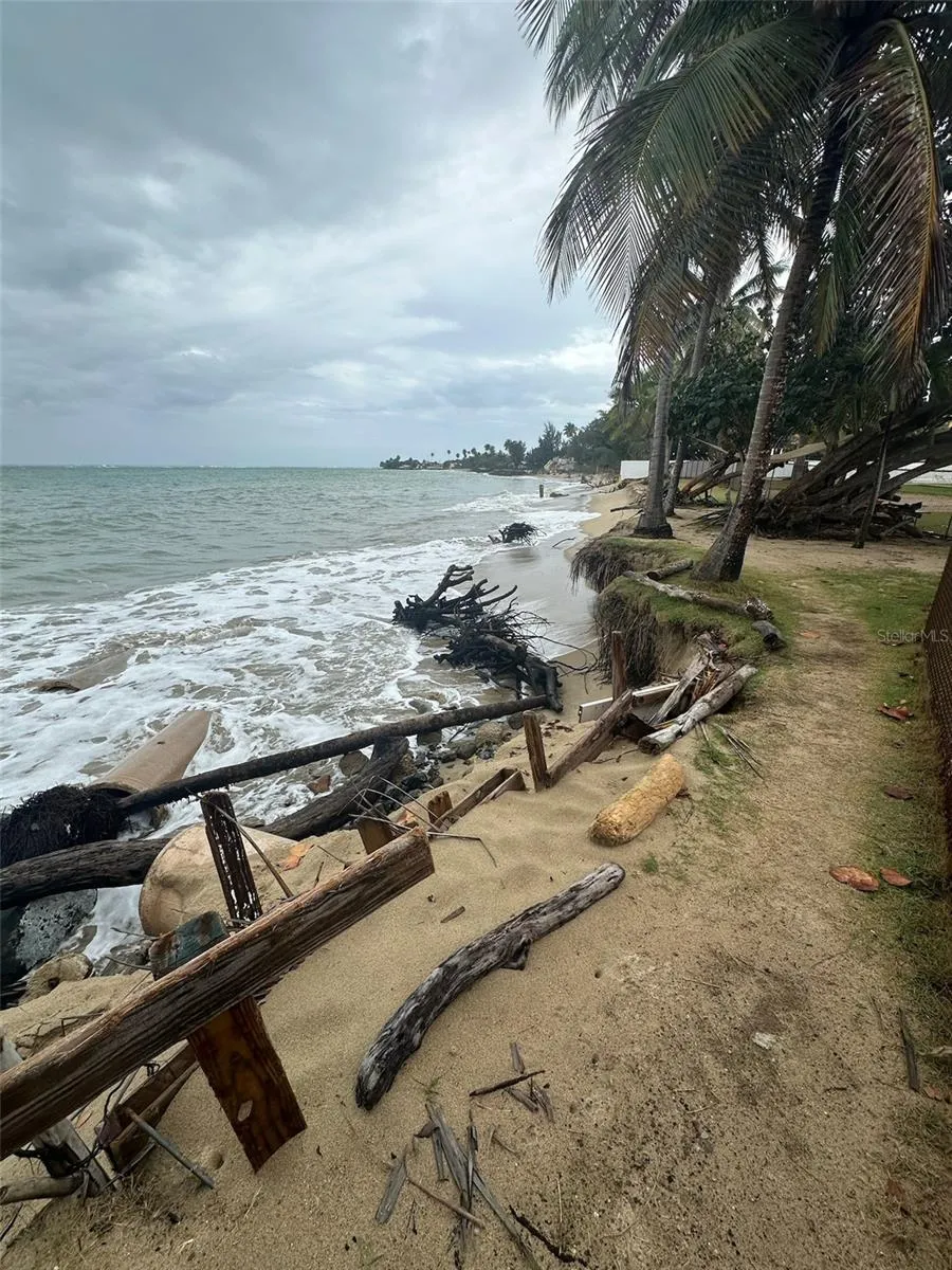 Km 7 EL CHARLIE #NE204 Loiza, PR 00772