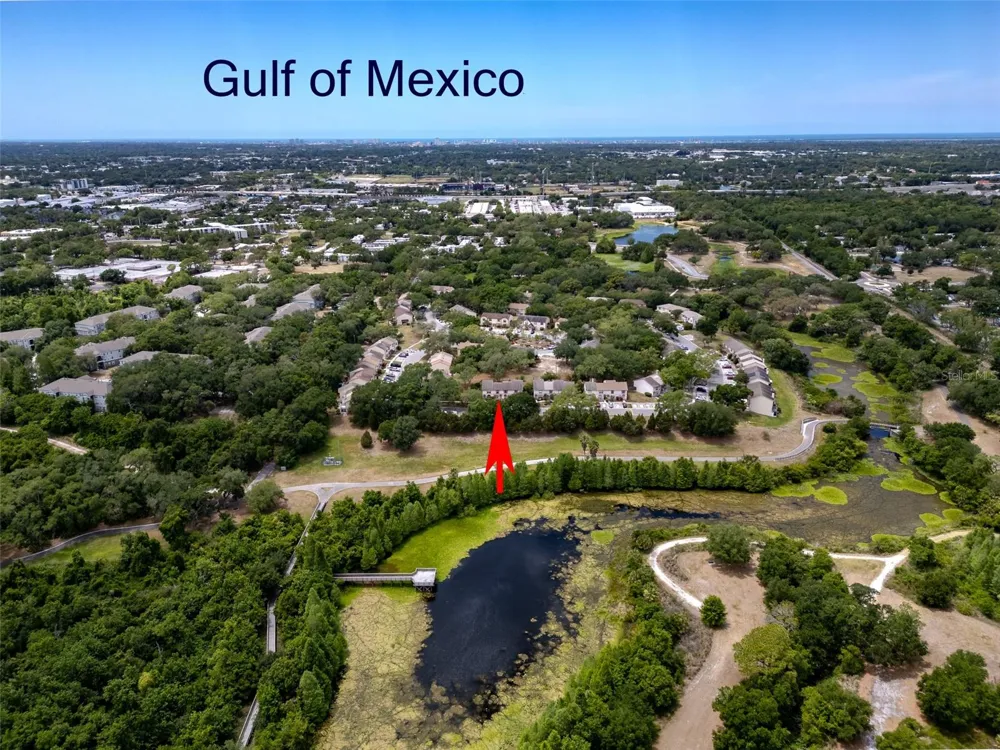 3303 BRIGADOON DRIVE Clearwater, FL 33759