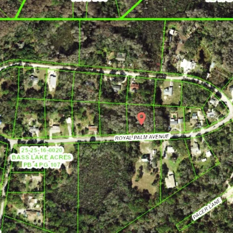 9805 ROYAL PALM AVENUE New Port Richey, FL 34654