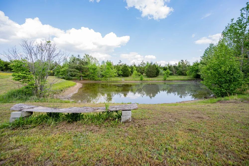 226 Summertrace Rd Hohenwald, TN 38462