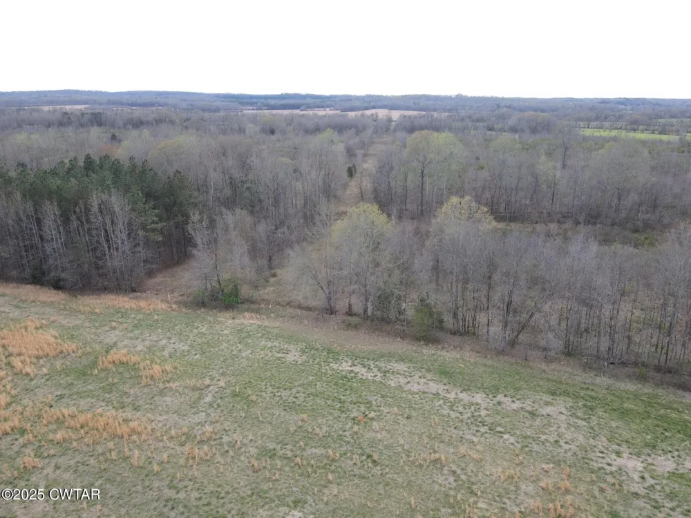 0 Hwy 22A S Enville, TN 38332
