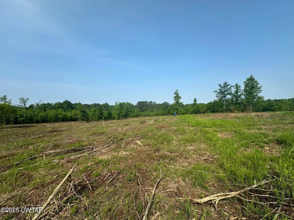 0 Hwy 22A S Enville, TN 38332