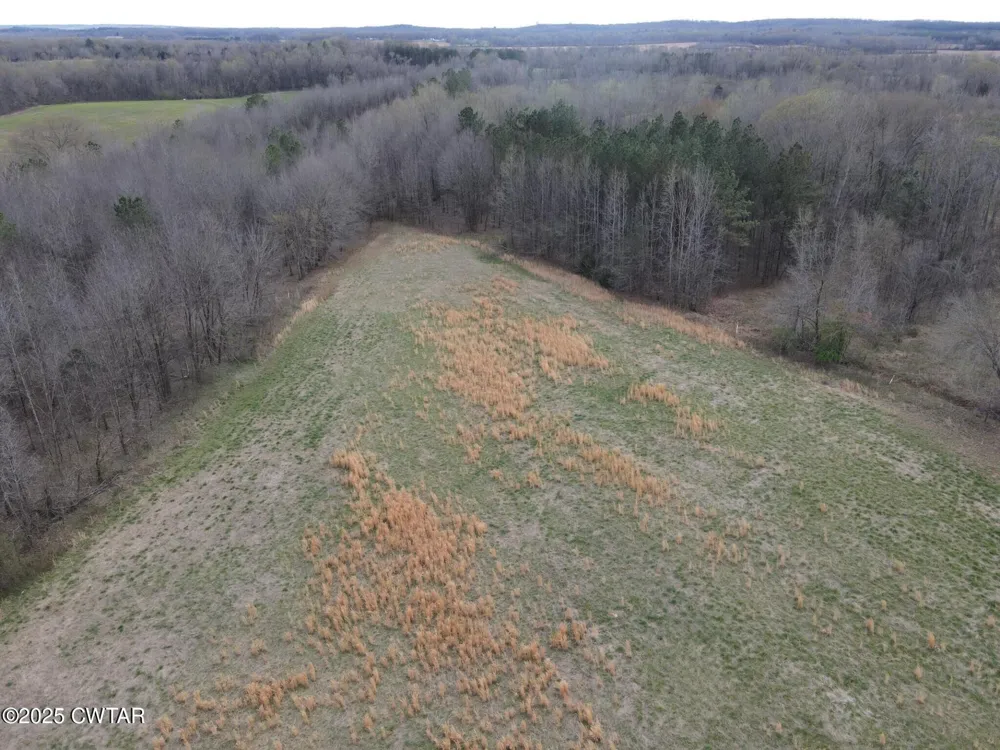 0 Hwy 22A S Enville, TN 38332