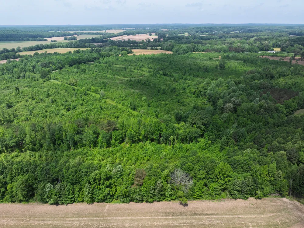 0 Hwy 22A S Enville, TN 38332