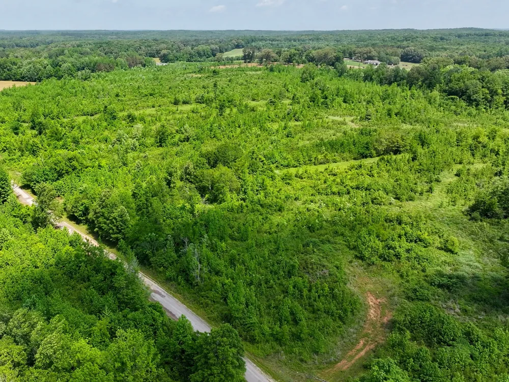 0 Hwy 22A S Enville, TN 38332