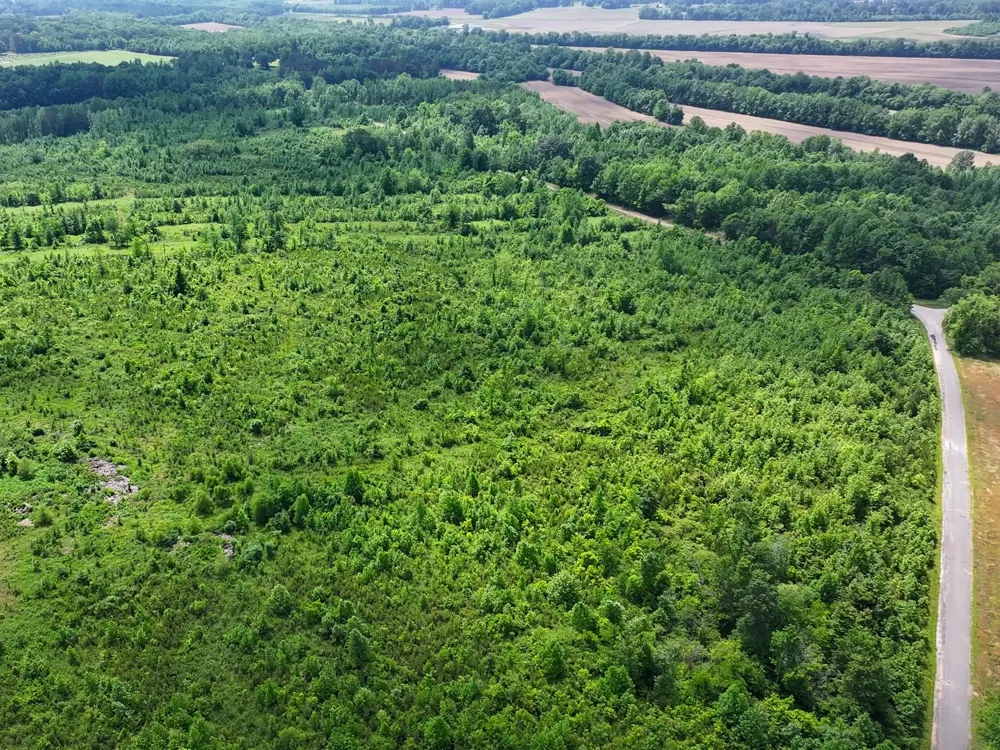 0 Hwy 22A S Enville, TN 38332