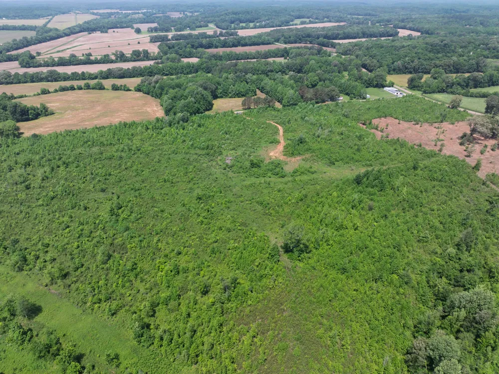 0 Hwy 22A S Enville, TN 38332