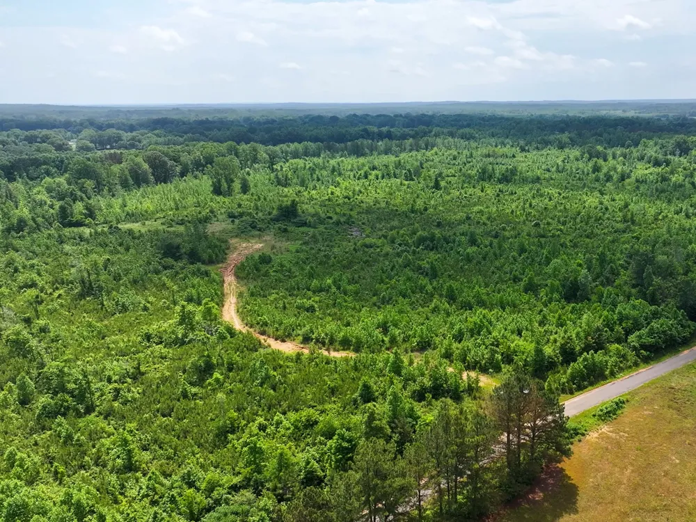 0 Hwy 22A S Enville, TN 38332
