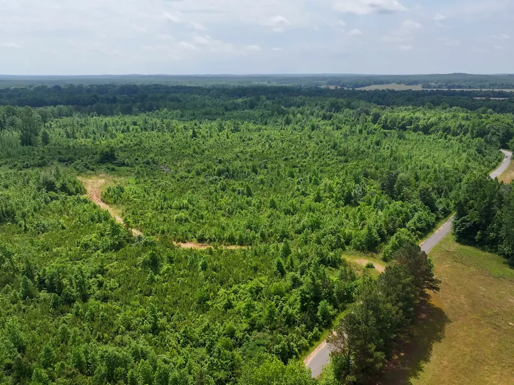 0 Hwy 22A S Enville, TN 38332