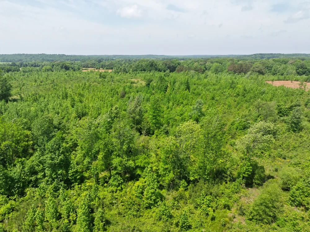 0 Hwy 22A S Enville, TN 38332