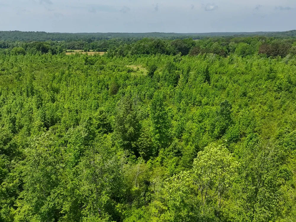 0 Hwy 22A S Enville, TN 38332