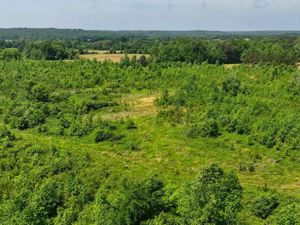 0 Hwy 22A S Enville, TN 38332