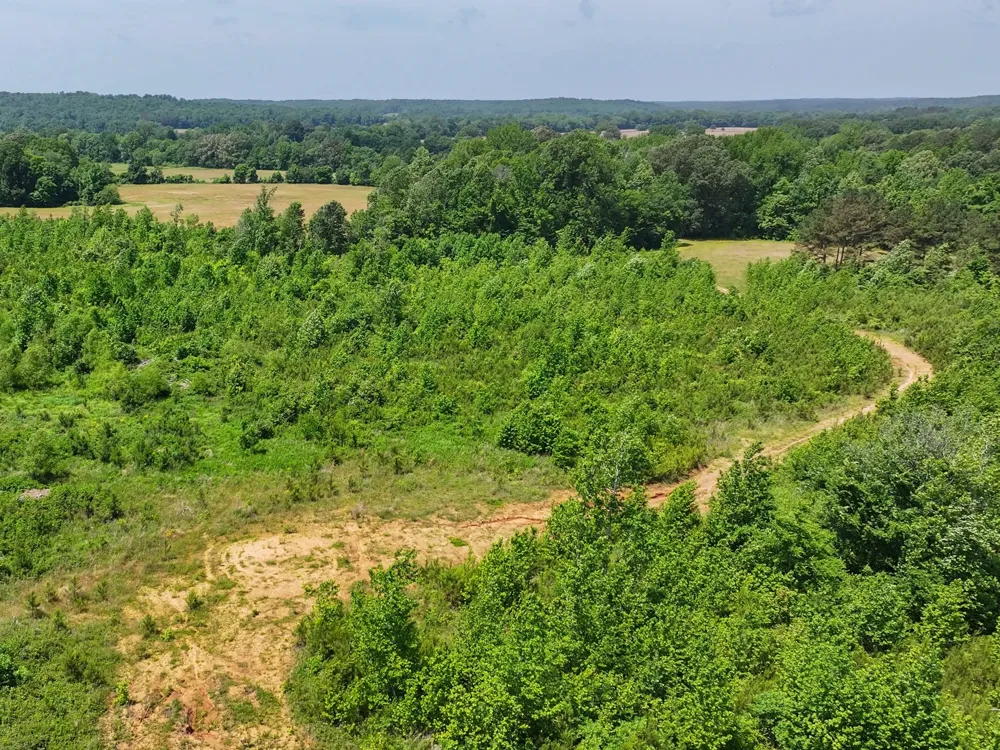 0 Hwy 22A S Enville, TN 38332