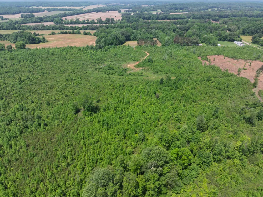 0 Hwy 22A S Enville, TN 38332