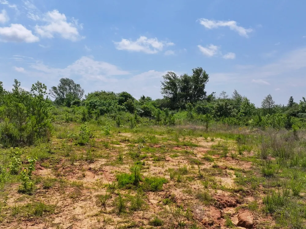 0 Hwy 22A S Enville, TN 38332