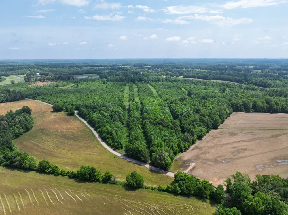 0 Hwy 22A S Enville, TN 38332