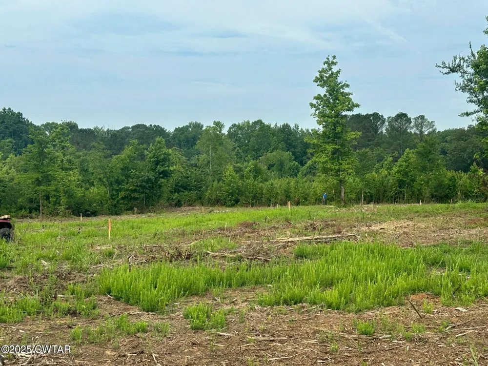 0 Hwy 22A S Enville, TN 38332