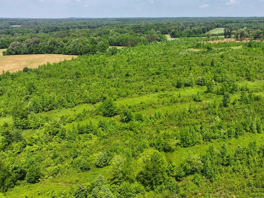 0 Hwy 22A S Enville, TN 38332