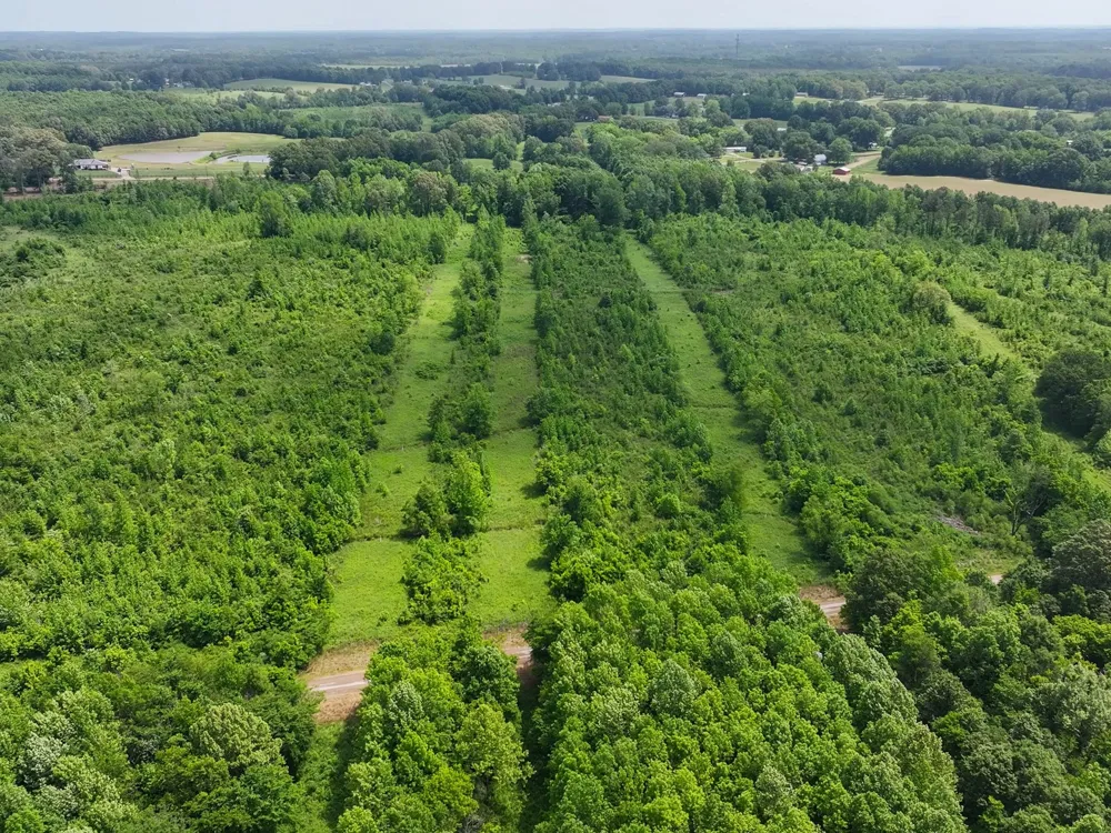 0 Hwy 22A S Enville, TN 38332