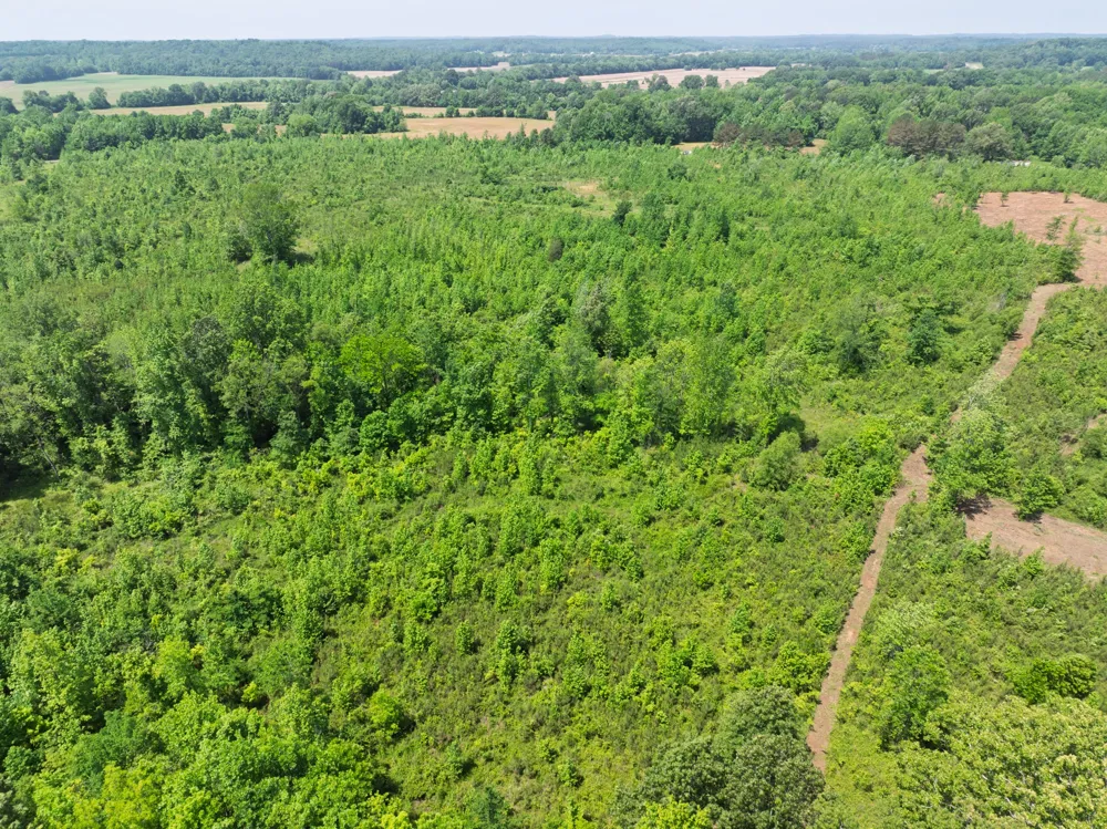 0 Hwy 22A S Enville, TN 38332