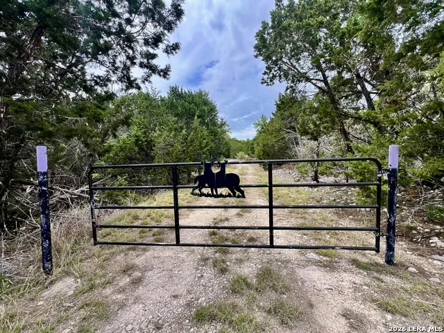 196 DINGLEY VIEW DR Kerrville, TX 78028