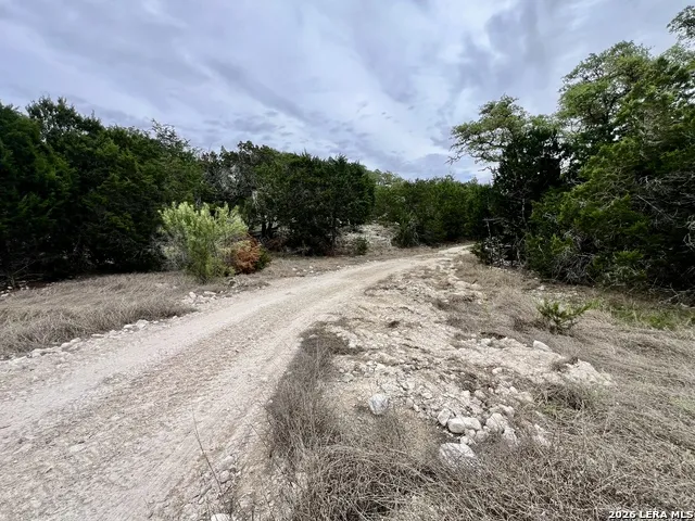 196 DINGLEY VIEW DR Kerrville, TX 78028