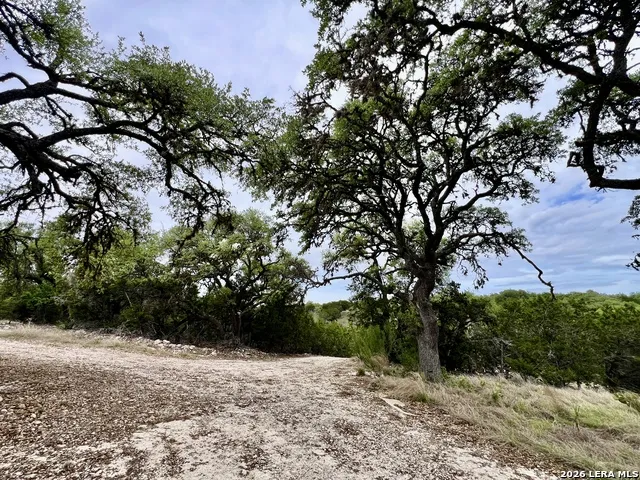 196 DINGLEY VIEW DR Kerrville, TX 78028