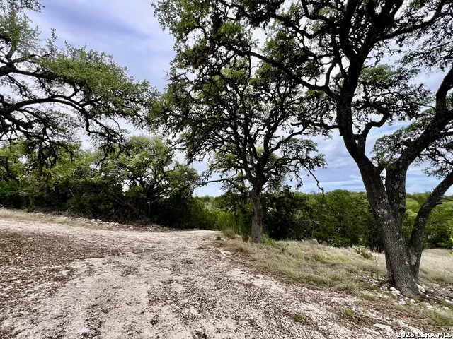 196 DINGLEY VIEW DR Kerrville, TX 78028