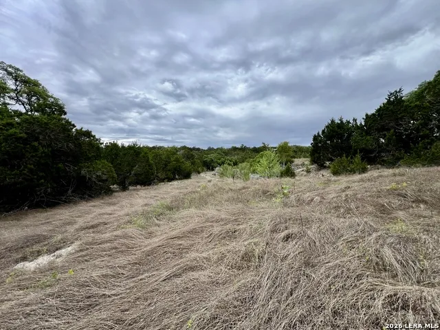 196 DINGLEY VIEW DR Kerrville, TX 78028