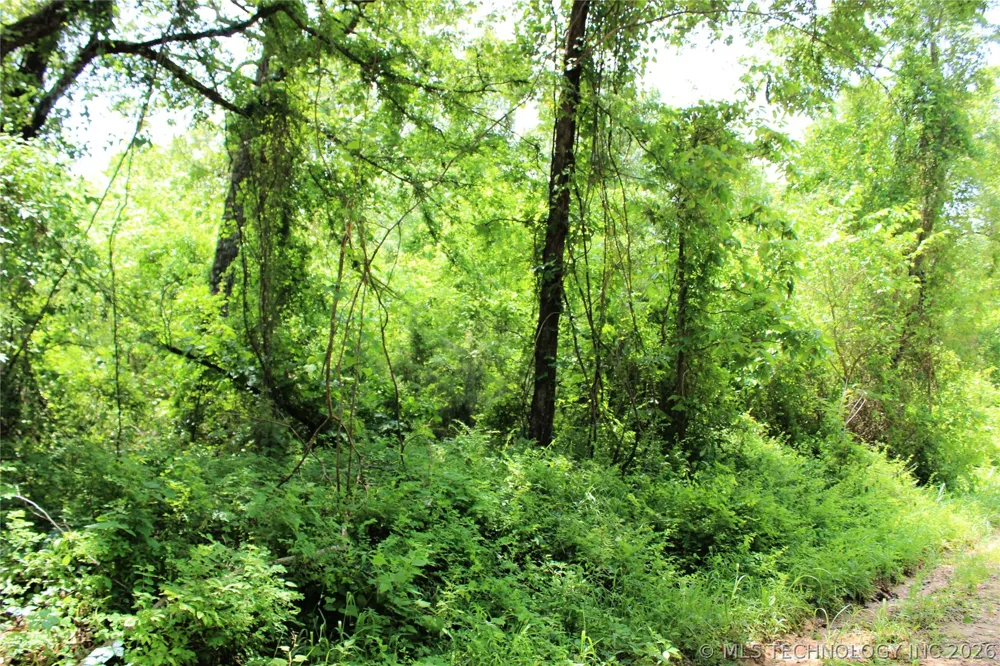 20 E 2100 ROAD Boswell, OK 74727