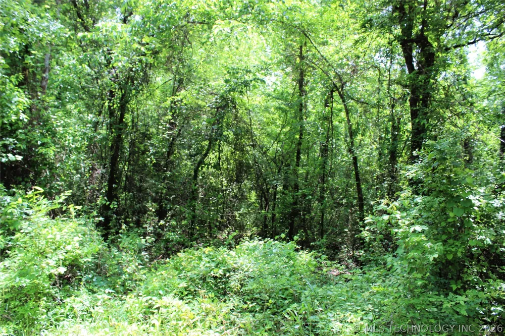 20 E 2100 ROAD Boswell, OK 74727