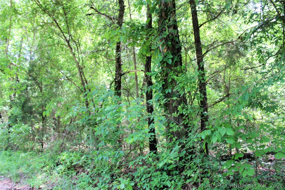 20 E 2100 ROAD Boswell, OK 74727