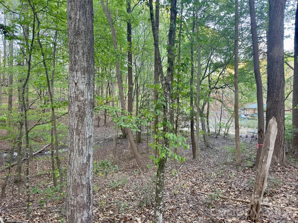 7656 Juniper Lane Denver, NC 28037