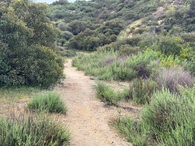 High Top Drive Tujunga, CA 91042