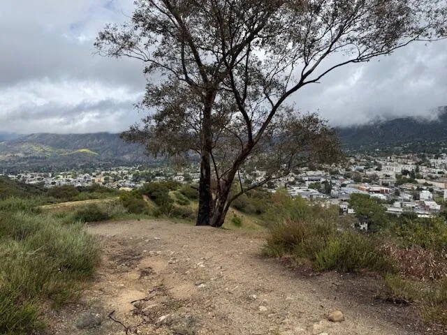 High Top Drive Tujunga, CA 91042