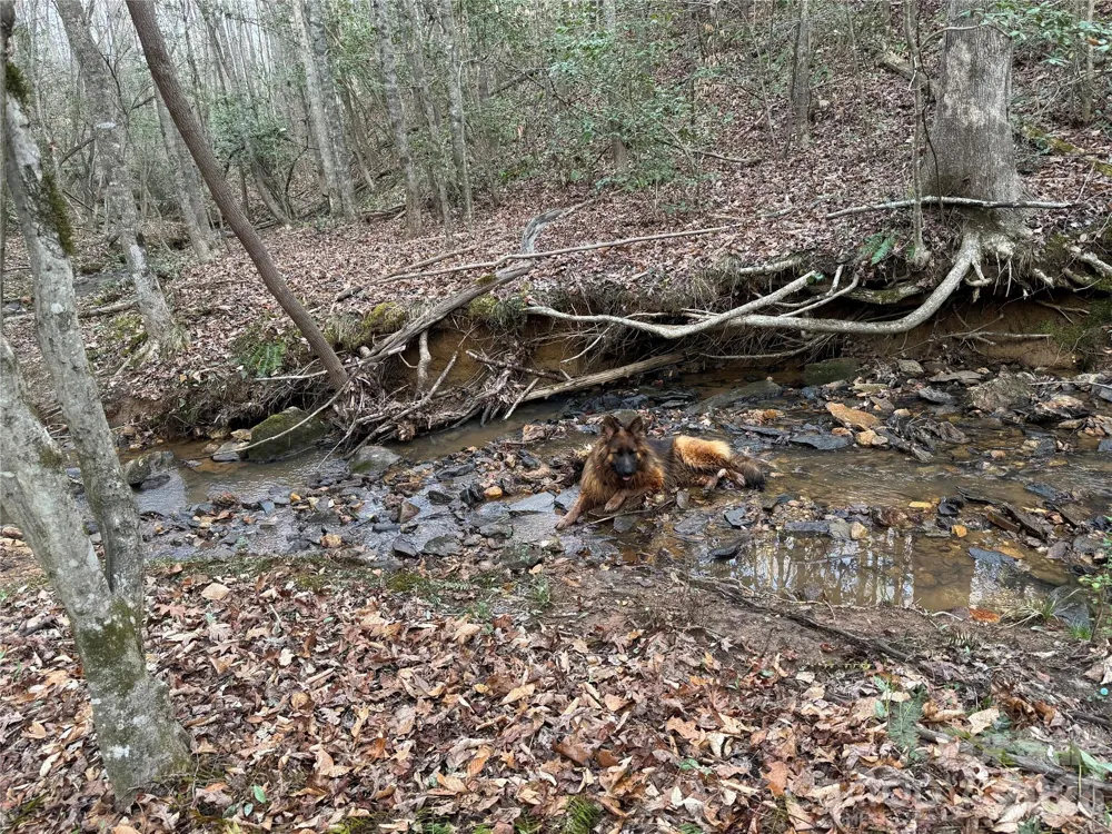 00 Eagle Mills Road Hamptonville, NC 27020