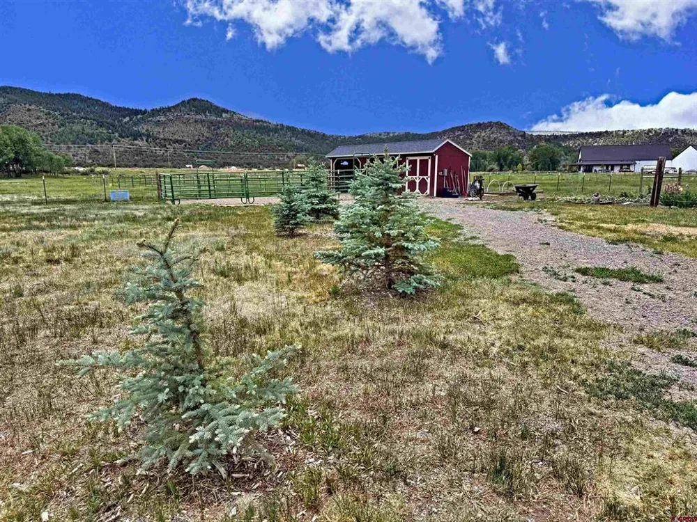 540 Comanche Trail South Fork, CO 81154