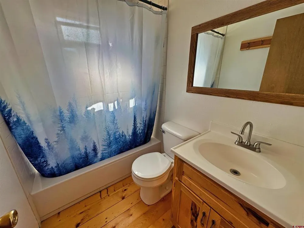 540 Comanche Trail South Fork, CO 81154