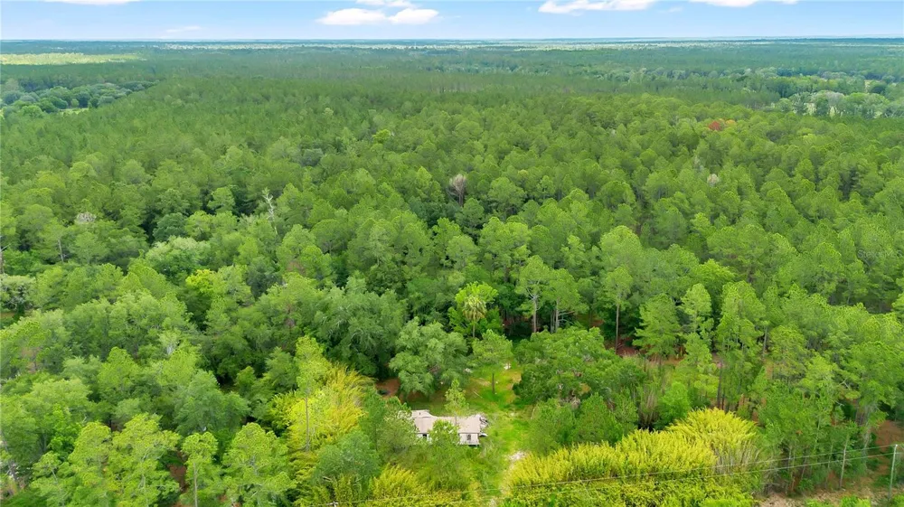 7831 NE 132ND PLACE Citra, FL 32113