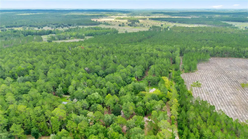 7831 NE 132ND PLACE Citra, FL 32113